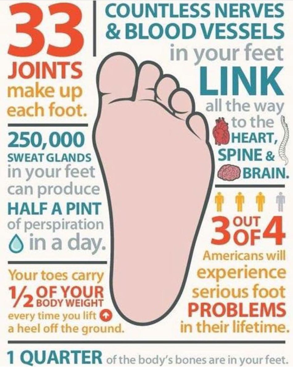 BrownMtnBody's tweet photo. 😳 Our feet are often so underestimated and under appreciated. Here are just a few of the reasons why feet are sooo awesome! 🦶 https://t.co/uf1gCT5842