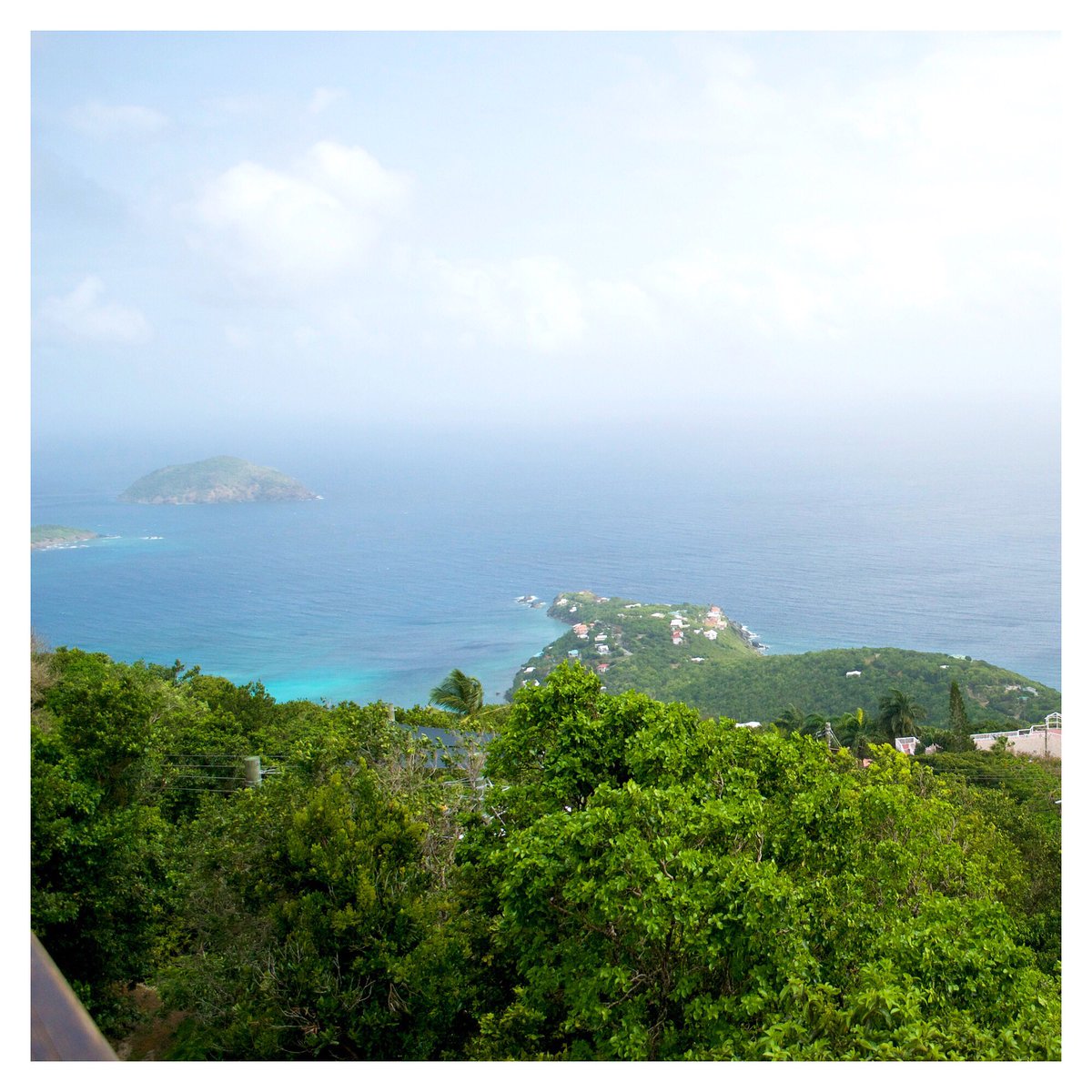 TreeLiminXtreme's tweet photo. We are so excited to be open again! #zipline #stthomas https://t.co/3WuQnCloIQ