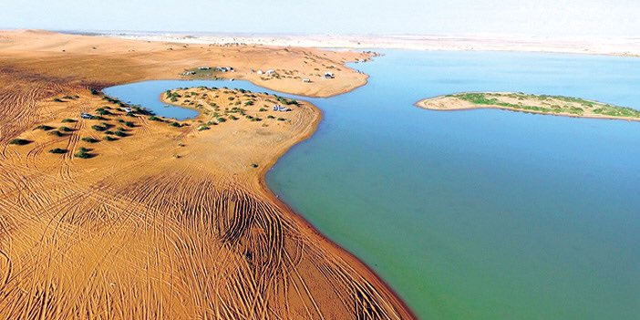 د. سعد بن سعيد tweet media