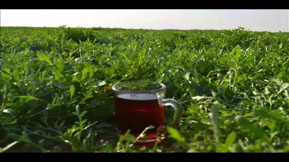 د. سعد بن سعيد tweet media