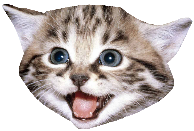 care_kitten's tweet photo. Follow everyone who retweets this🌹
Follow everyone who retweets this🌹
Follow everyone who retweets this🌹
Follow everyone who retweets this🌹
Follow everyone who retweets this🌹
Follow everyone who retweets this🌹
Follow everyone who retweets this🌹 https://t.co/fxUdHiI1re