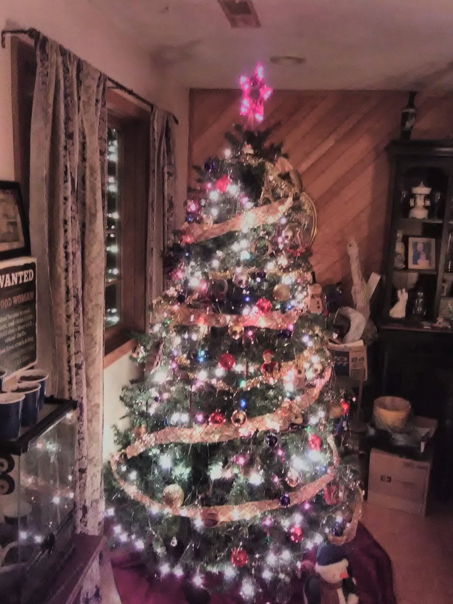 HeyGlover's tweet photo. It's up. Ho Ho Ho #ChristmasTree2018 #MerryChristmas https://t.co/BC314n1RBD