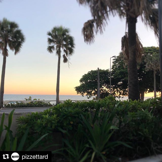 PizzettaRD's tweet photo. #Repost @pizzettard ・・・
Sunset @pizzettard Te esperamos!, 🔥🍕🌴 @pizzettard @pizzettaforni #brickoven #firekissed #firekissedpizza #woodfired #lungomare #malecon #maleconsd #seasidepizza #pizza https://t.co/MbPYzaqzGC https://t.co/h5JpeKQ19W