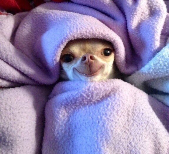 acano3_'s tweet photo. Amigos: al final no salimos

Yo: joder tiooooo 😡

*yo en realidad* https://t.co/dYnDtYZEo2