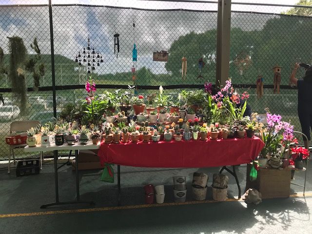 Women's Post tweet media