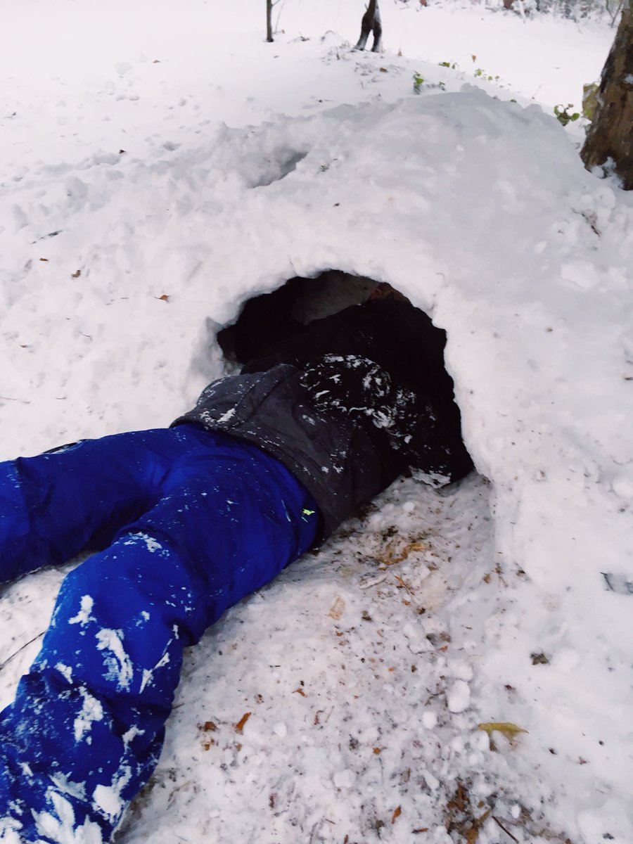 _carlydwyer's tweet photo. @LSR7 No school tomorrow ? I need to finish my igloo https://t.co/vqGeii76fQ