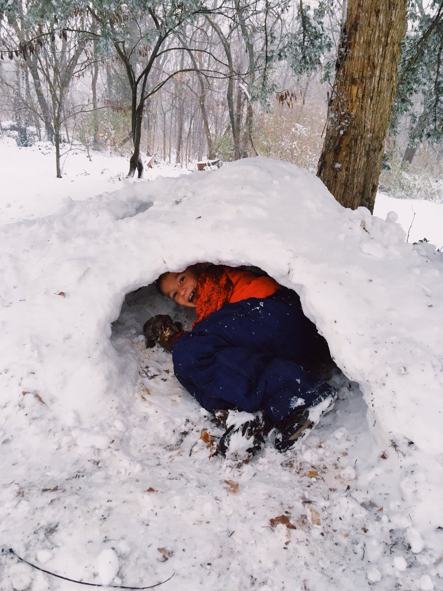 _carlydwyer's tweet photo. @LSR7 No school tomorrow ? I need to finish my igloo https://t.co/vqGeii76fQ