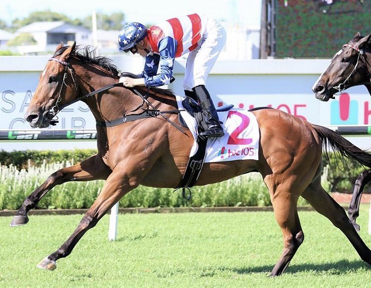 NewhavenPark's tweet photo. 2️⃣ NP bred winners on Sat with siblings selling @mmsnippets 2019:
TOTAL EXCESS - 2 starts - 2 wins - Full brother #Lot911
CADOGAN - o/o USA bred mare Cadazzle - 1/2 sister by Sebring #Lot431
#ourbrandyoursuccess
📸 Peter Rubery/Darren Winningham https://t.co/IhMNFsWzOE