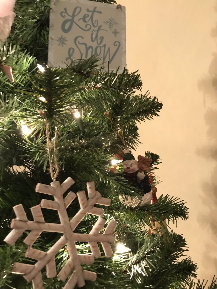 5_0Squirrel's tweet photo. Starting to look like Christmas in the Gander-Lacey household #OurFirstChristmas #MassiveTree #YesAllThePetsGetStockings https://t.co/Pdt8ETCVMN