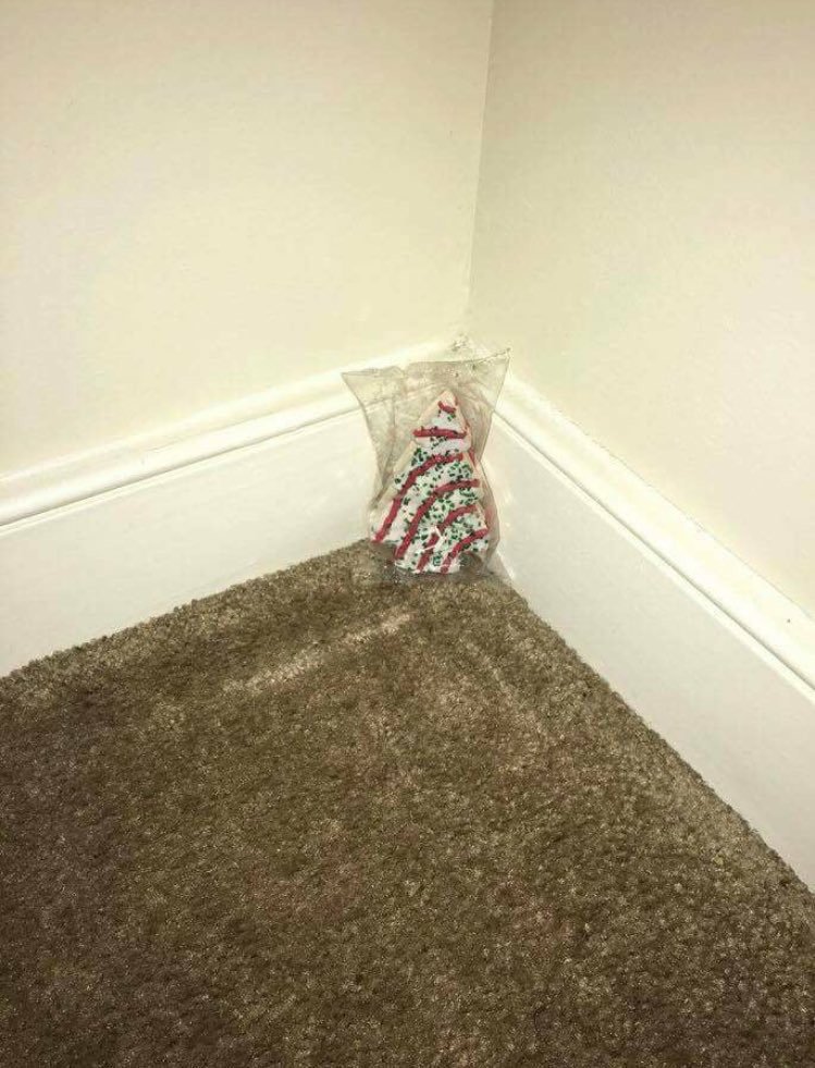 JustinPrawdzik's tweet photo. Finally got to put up the Christmas tree https://t.co/XlSEI7fbDw