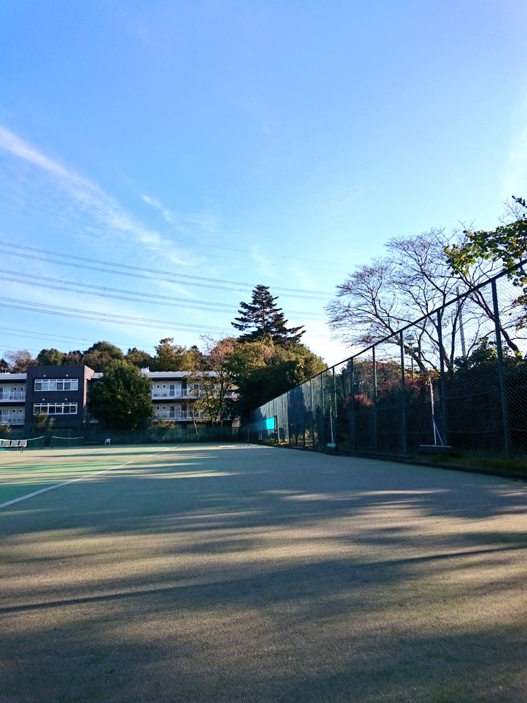 上尾グリーンテニスクラブ On Twitter おはようございます 11 26 月 イマソラは青空 風もなく静寂のテニスコートの埼玉県上尾市 上尾グリーンテニスクラブです ラケットやストリングス ガット を買い換え 張り替えする方が多くなりました 一生そのまま では