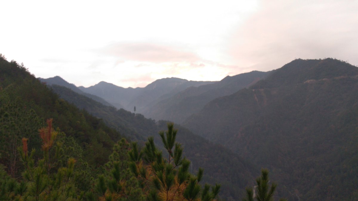 SolarThings's tweet photo. https://t.co/94GrouGSZU
White Cloud Mountain #China uncountable steps to the top, #photography on #steemit in #lishui https://t.co/8OBqNwfi9t