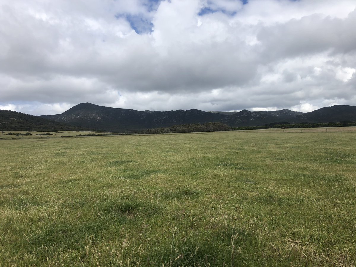 Soil testing with the mountains in the backdrop today. Checking in on one of our recently limed and fertilised paddocks. Love having the sampling points stored in Sirrus!