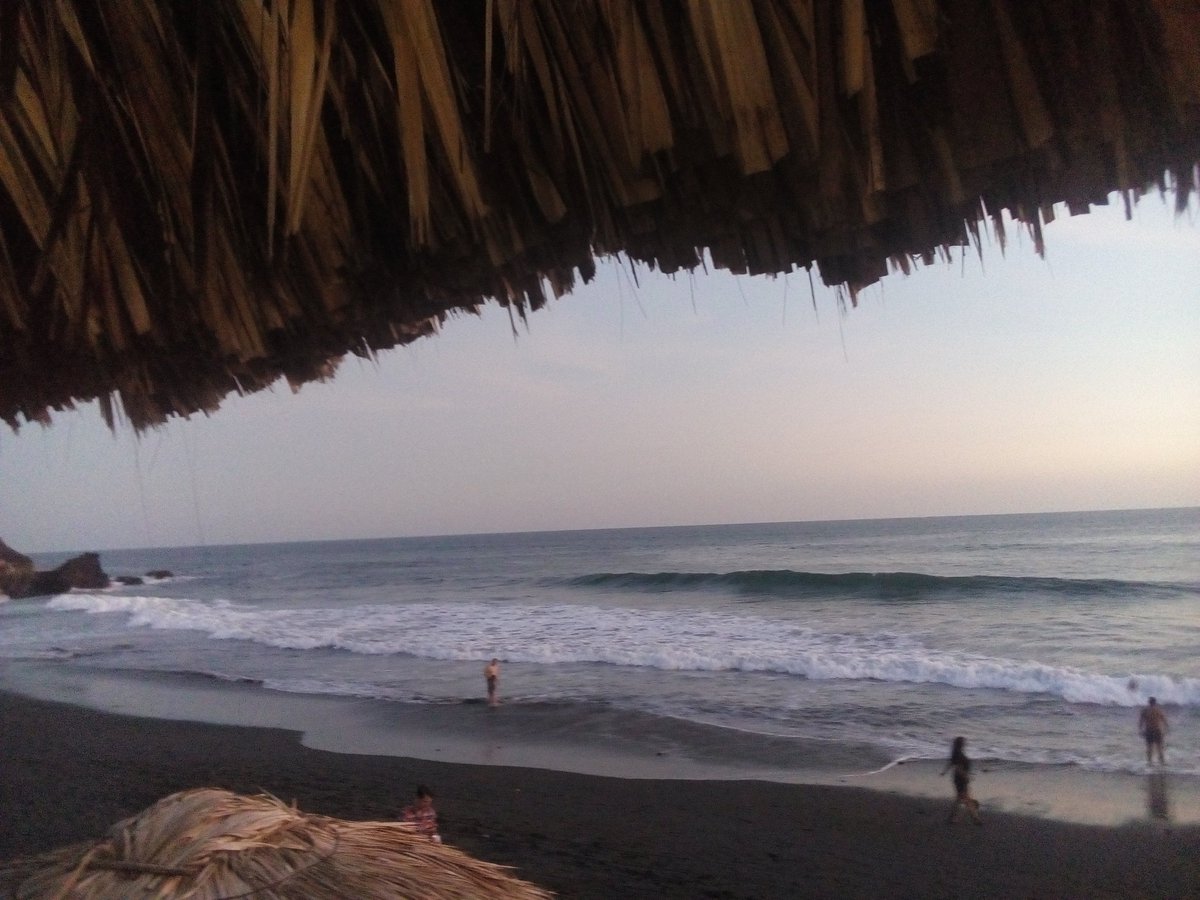 ralebace's tweet photo. Atardecer guanaco en la playa. Se los regalo ¡Disfrutenlo! #IRefuseToGoBack https://t.co/znV6u0rCtk