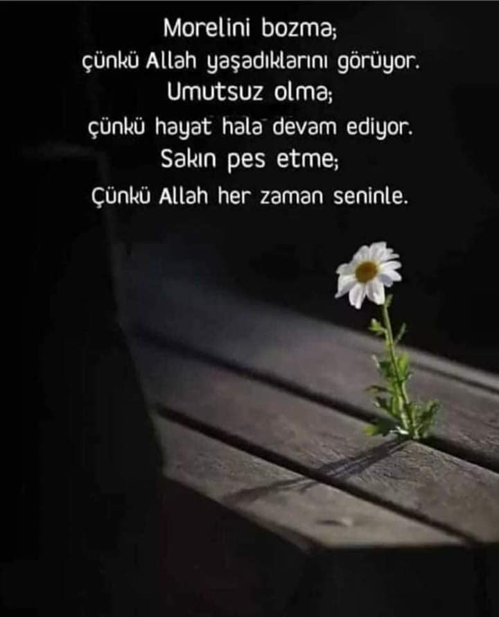 Mustafa61739880's tweet photo. #SELAMÜN ALEYKÜM HAYIRLI SABAHLAR HAYIRLI HAFTALAR 🌻🌼😘⚘🌷☕🇹🇷 https://t.co/wdQWt46V2d