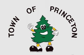 78: PRINCETON (4.32 points)- Honestly, what an adorable tree- but why are his feed dislocated from his body- Apparently, "Peter is of mixed heritage as his father is a pine, and his mother is a fir/spruce." - A good retro T-Shirt, regrettably not a good flag
