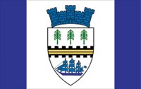 76: PORT MOODY (4.42 points)- Trees! Railroads! Giant ships (?) Castles (??)- Why isn't the ship on water?- An excellent example of why not to simply transfer your heraldic stuff over, because there's good elements but it defeats itself