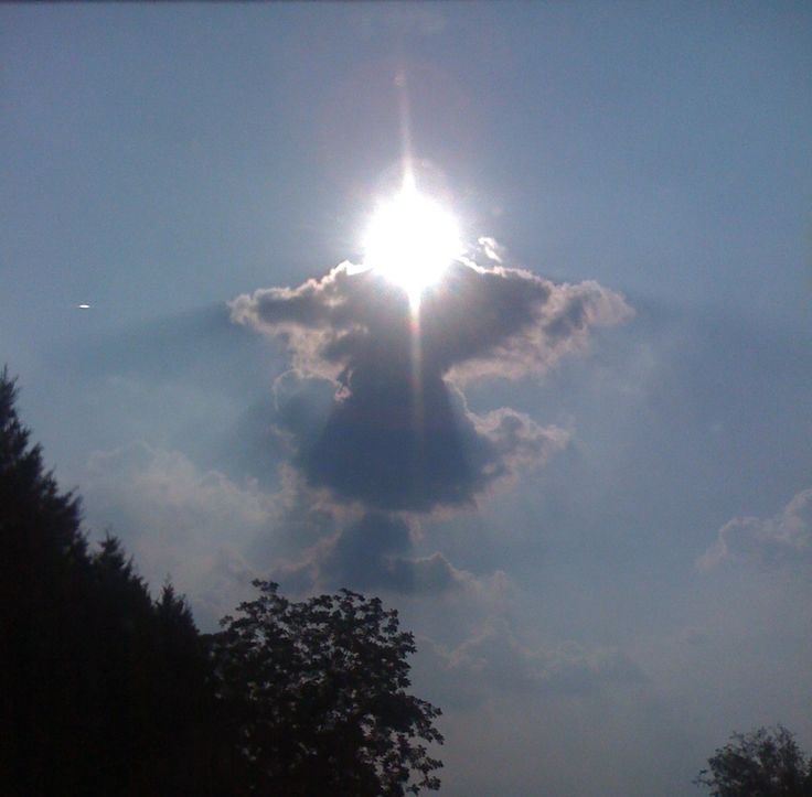 timelesssoul1's tweet photo. In the sky #angels https://t.co/x4V6SsaO04