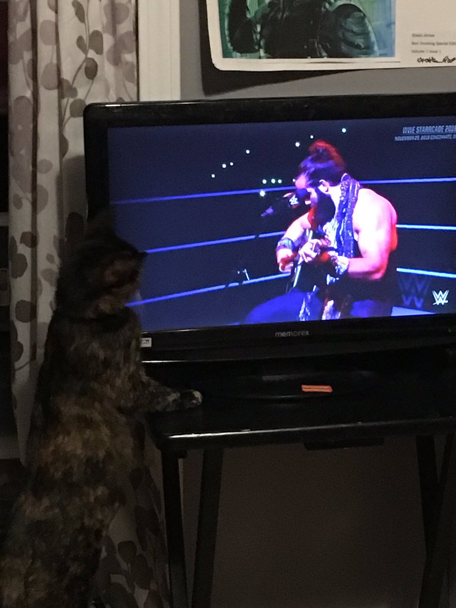 WWEHPIKE5's tweet photo. @IAmEliasWWE my kitten wants to WALK WITH ELIAS! https://t.co/jgtPn9c90T