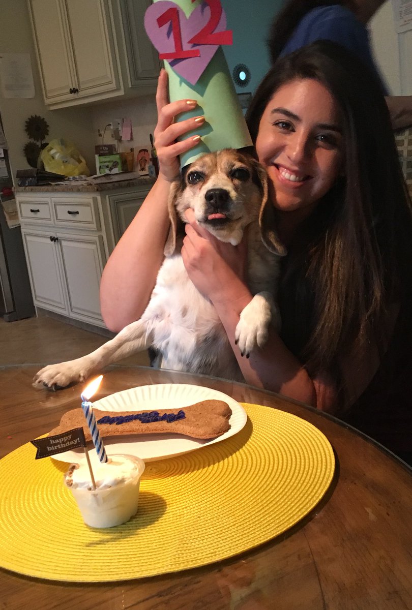 DavidEnglander's tweet photo. The best Beagle, friend, and sister a man could ever have. I’ve been lucky enough to have two dogs be the light of my life. Samantha, my love for you will never fade. You will be with me always and forever. https://t.co/plXcxlsy3e