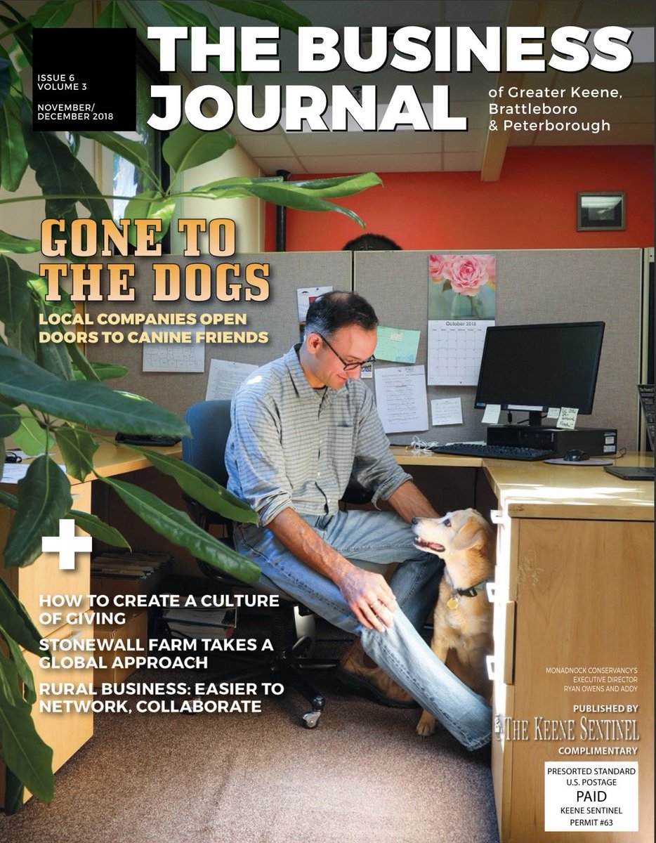 EightCattails's tweet image. Oh, what a fun shoot and a great idea! Dogs in the workplace. Pick one up now around the Monadnock Region. #monadnockregion #business #journal #newhampshire #dogs