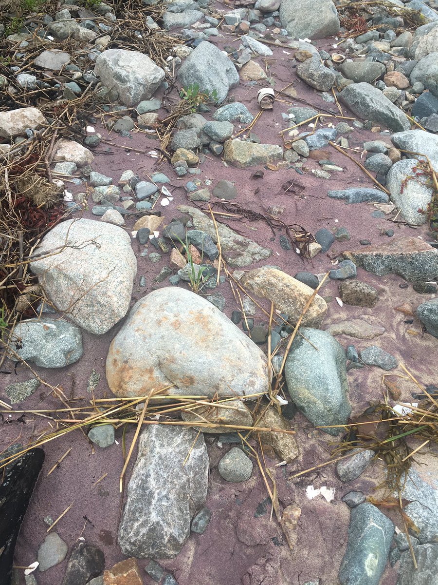 iris_seto's tweet image. Throwback to this beautiful purple sand in #plumisland! The purple comes from garnet mixing with other minerals such as rose quartz! #3Cs37 #favecolor