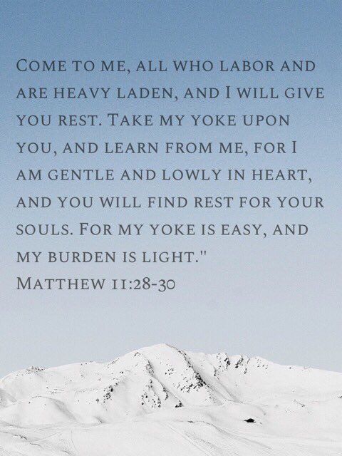 AmyMcMillanRD's tweet photo. 📌Matthew 11:28-30📌 https://t.co/55TMsNFE9F