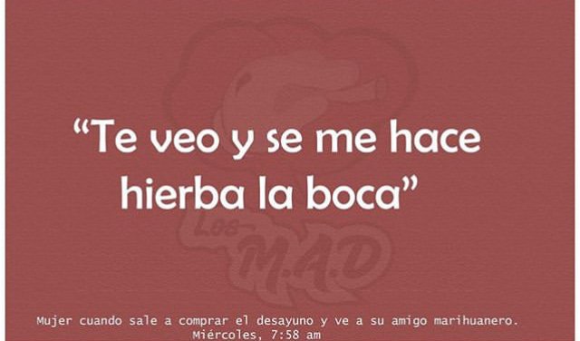 LMADoriginal's tweet photo. Somos LA CUENTA OFICIAL DE LOS MAD #Vaporiza -
- #LosMad #MADCuentaOficial #MamáYaVengo #VoyASacarAlPerro #LosMAD  #CómoTengoLosOjos #BájeleGuardia #VienenTusTios #buenasnochesseñoragente https://t.co/p87gVCxLTl