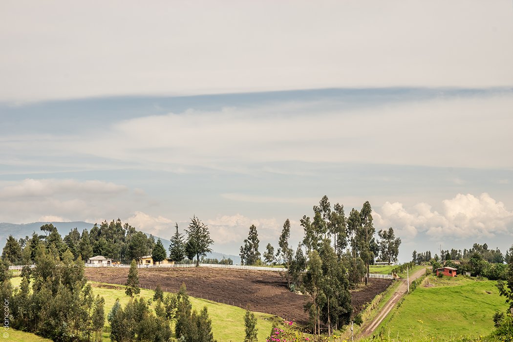 RetinaCreativa's tweet photo. De esos paisajes sencillos y tranquilos que tanto me gustan
#Pichincha #Andes #Rumibosque #Ecuador #DanColor #RetinaCreativa #photo #Nikon #IamNikon #landscape #photography #travel #viajar #500pxrtg #visitEcuador #allyouneedisecuador #PaisajesEcuador #Mountain #ViajaEcuador https://t.co/CQwOClXuD9