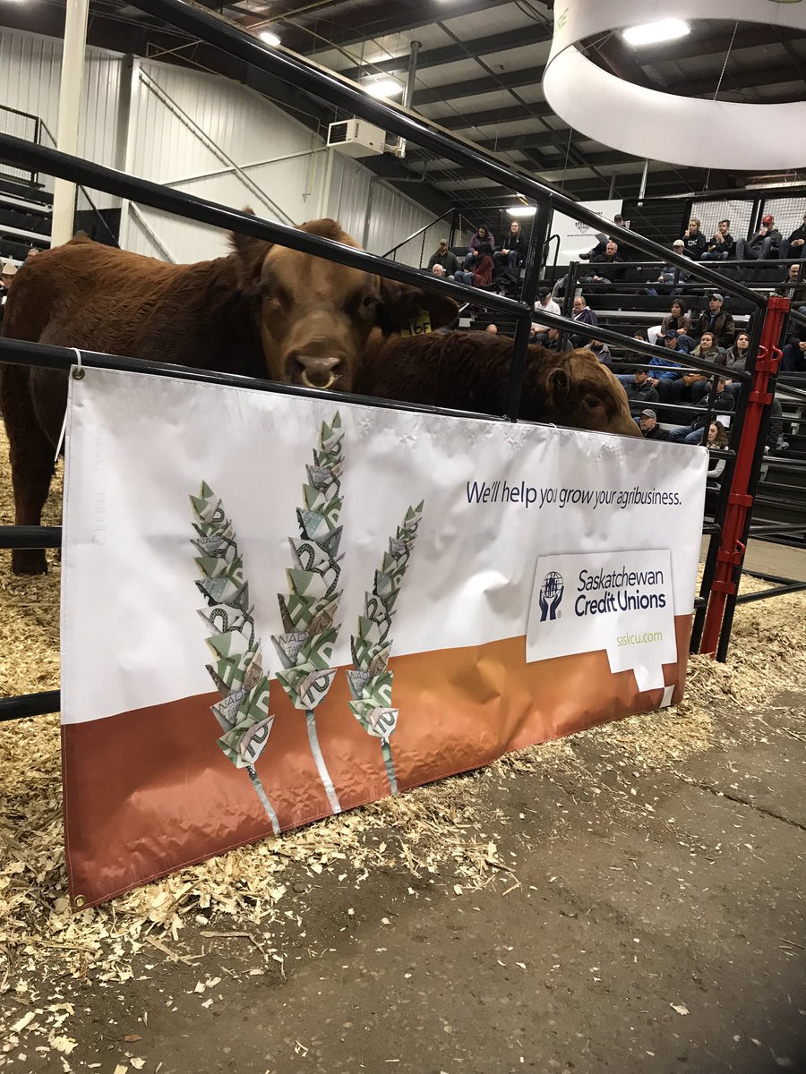 NoellaDomotor's tweet photo. Enjoyed a good day with my friend and coworker Julie Levasseur at @Agribition representing Saskatchewan Credit Unions. Thank you to all the great volunteers that worked the booth  from @SaskCentral and other CU’s. https://t.co/rSOx2eFTo4