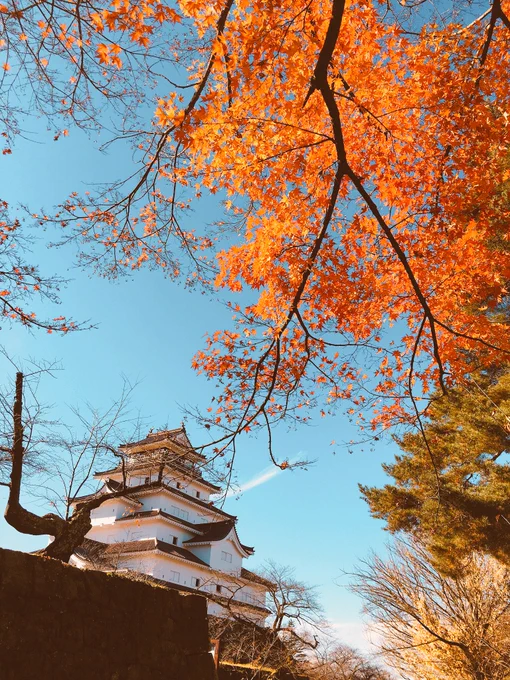 福島に旅行にいってました。かなりのんびりできたのでこれから頑張ります。 