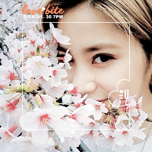 palette_fy's tweet photo. ♡ PALETTE DROPS CONCEPT PHOTOS OF OUR FAVORITE GIRLS FOR THEIR DEBUT SINGLE, 'LOVEBITE' WHICH IS TO COME OUT AT THE END OF THIS MONTH. ( @_99NANA , @bikii_p , @ONLINE___GlRL ) https://t.co/RpXlqE2yhp