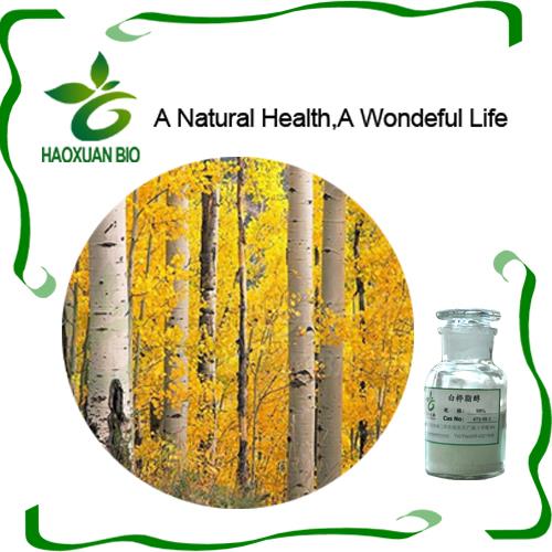 NaturalHealth9's tweet photo. Function of Best Price #Brich #Bark #Extract Betulin 98%,CAS No.:473-98-3: 

1. Adaptogenic and immunomodulating activities

2. Antioxidant and antihypoxic activities

3. Hepatoprotective, detoxic, hypolipidemic activities
 Cardinals https://t.co/jqCgUvKgIq