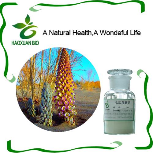 NaturalHealth9's tweet photo. #Cistanche #deserticola is widely distributed in China's deserts including the provinces of Gansu,Shaanxi, and Qinghai, and the Autonomous Regions of Xinjiang,Ningxia,and Inner Mongolia.
 Cardinals https://t.co/lTcsBGByTL