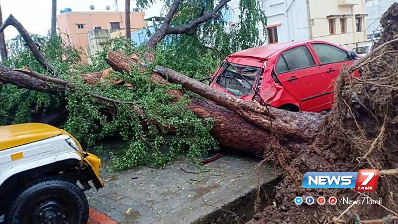 news7tamil's tweet photo. கஜா புயல் பாதித்த பகுதிகளில், இன்றுடன் நிறைவடைகிறது மத்திய குழுவின் ஆய்வு!
விவரம்➤https://t.co/as42gnGHD4 | #GajaCyclone | #CentralTeam | #CentralGovernment | #GajaEffects https://t.co/X7o96ZGHfO