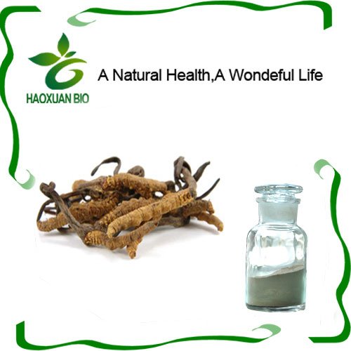 NaturalHealth9's tweet photo. #cordyceps #militaris has the function of anti- bacterium, reduce asthma, lower blood pressure and  strengthen the beating of heart.
 Cardinals https://t.co/19k5wK1MBG