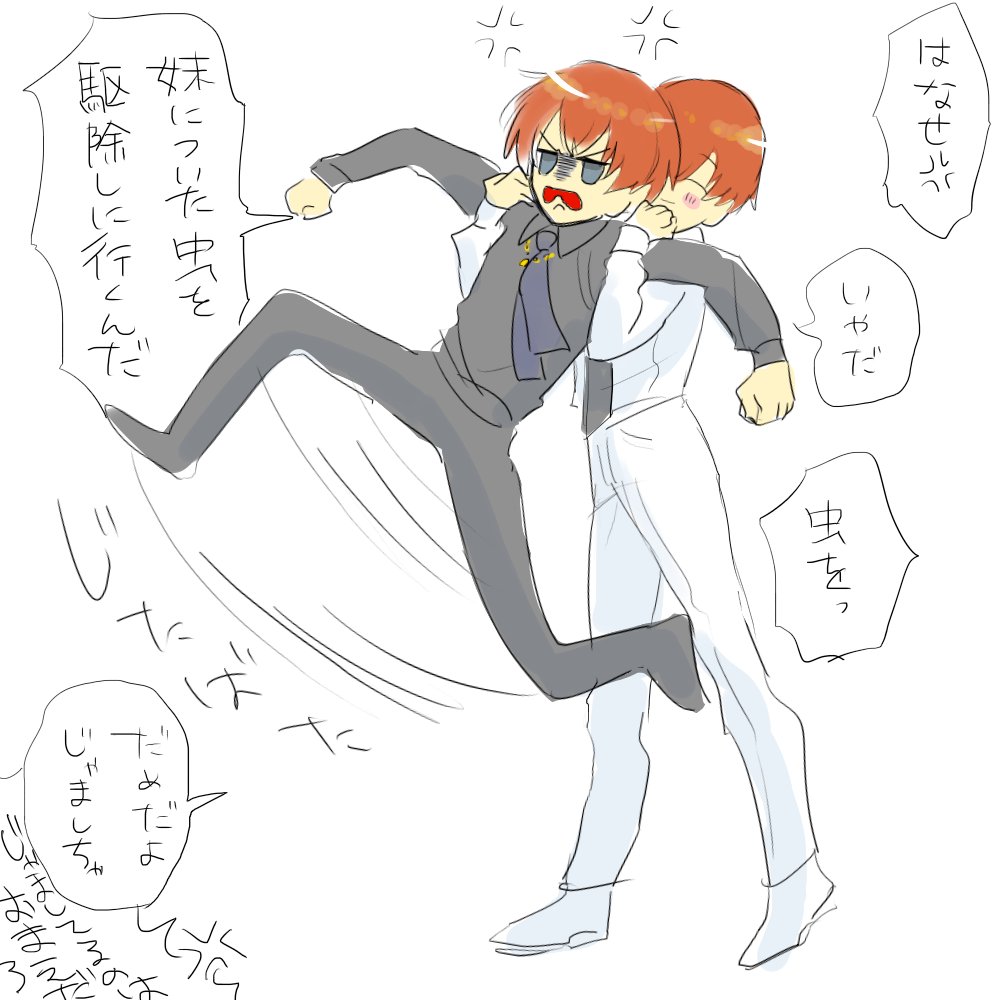 カーライルさん姫の肖像画見ただけって言ってたけど会えてたら 