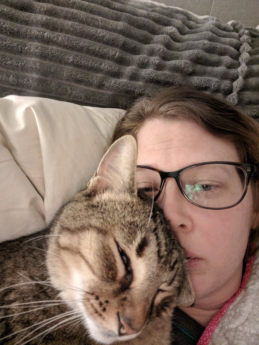 Erin E Sweany This Is My Life Now