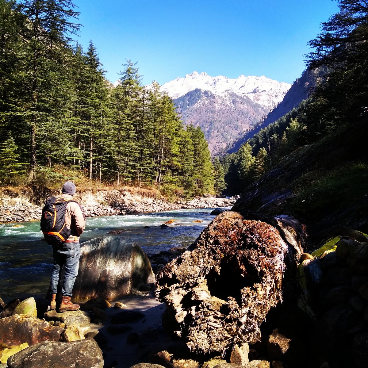 thenomadicalien's tweet photo. Kasol #HimachalPradesh ♥️🌲🌲🏔️

#himalayas #kasol #travelgram  #wanderlust #makingmemories #passiondrivensoul #traveldiaries #incredibleindia #trekking #peaceful #beautiful #mothernature #mountains  #photography https://t.co/knpQg50MPl