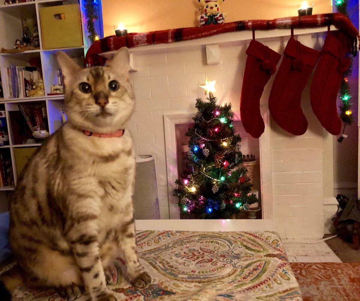 Oh_Thunderclese's tweet photo. 🎄HAPPY CHRISTMASTIME 🎄
🎄 🎄✨I LOVE YOU✨🎄🎄
🎁🎁🎁🎁🎁🎁🎁🎁🎁🎁🎁 https://t.co/IH8wp7U0SU