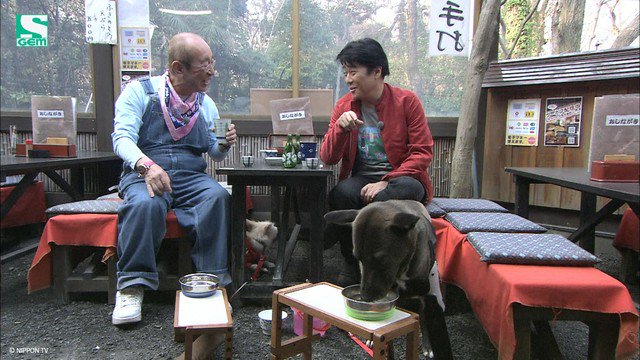 Gem Tv Asia Who Will Shimura And Pochi Meet On Their Stroll Around The Streets Adorable Animals Await You In Tonight S Shimurazoo 嵐 天才志村どうぶつ園 相葉雅紀 志村けん ベッキー Daigo T Co Ndo4wtrduq