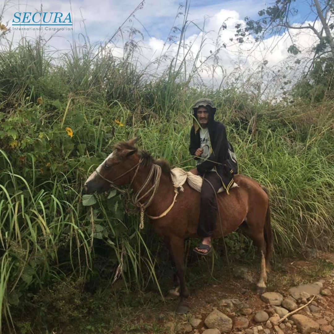 SecuraIntlCorp's tweet photo. Helping Filipino Farmers the #SecuraIntlCorp way! #SecuraGrass https://t.co/o6iSb2zarw