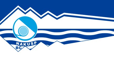 98: NAKUSP (3.71 points)- The town had a perfectly good flag (image one), and then got rid of it for something very corporate and bland (image two), I AM OUTRAGED- Now it looks like a hotel logo, I'm sad- Points for doing the mountains/ocean thing in a way that makes an N