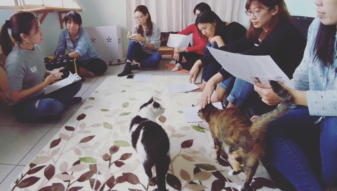TTouch workshop for cat, we have 8 people and five wonderful teacher cats. 😄

#ttouch #ttouchforcat #happycathappylife #ttouchintaiwan #tellingtonttouch #陪你呼呼