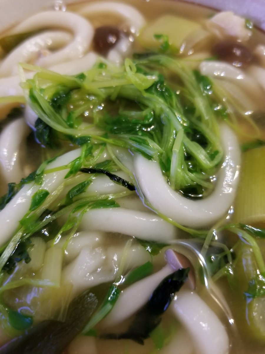 Miho ぁぁまたうどんにしてしまいました だって美味しいんだもん いっぱい野菜入れて野菜うどんと チキチキボーン 今日の夜ごはん 休日のごはん 夜ごはん うどん 野菜うどん チキチキボーン チキン 野菜 美味しかった Miho ぁぁまたうどんにしてしまいました だって美味しいんだもん いっぱい野菜入れて野菜うどんと チキチキボーン 今日の夜ごはん 休日のごはん 夜ごはん うどん 野菜うどん チキチキボーン チキン 野菜 美味しかった