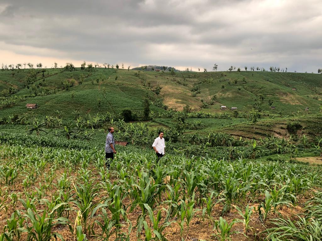 Peninjauan lahan tanam dalam safari bedah potensi desa mengangkat kearifan lokal pemberdayaan ekonomi desa

<a href="/jokowi/">Joko Widodo</a> @SahabatFadholi <a href="/ganjarpranowo/">Ganjar Pranowo</a> <a href="/iskandar_moh/">MOH.ISKANDAR</a> <a href="/Info_MagelangID/">Info Jawa</a> <a href="/JatengPos/">Jateng Pos</a> <a href="/arjuna16sp/">ARJUNA 1208</a> @NSpidol

#CalegNasDem 
#NasDemAntiMahar 
#SahabatFadholi
#DapilJateng1