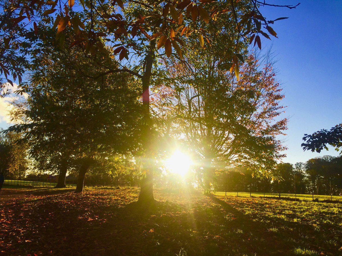 GetOutKids's tweet photo. A bit of Monday motivation to help get you through the week.
The colours, light, smells and sounds of autumn make it one of the best seasons to get outside.
#MondayMotivation #GetOutside #autumn #sunset #shropshire @OSleisure @team4nature https://t.co/V3MPe5Ug8C