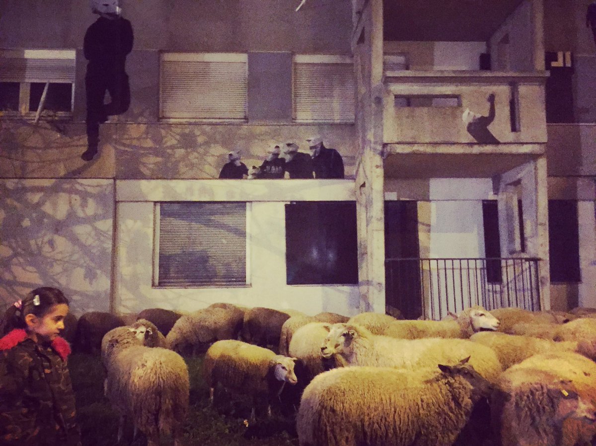 RandomZineb's tweet image. C’était samedi soir au pied de la majestueuse barre Robespierre !
200 personnes, des loups et des moutons.
Merci aux habitants, merci aux partenaires et à très vite. 
@PlaineCommune @PBraouezec @ClaudeLechat75 @PlaineCoHabitat @Fondationfrance