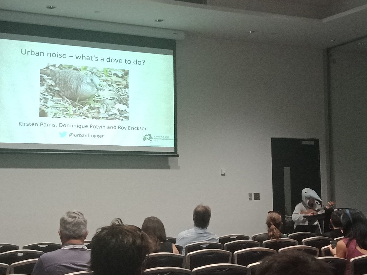 Ben Stepkovitch (@steppo94) on Twitter photo So lucky to be able to hear Pablo the Inca Dove (<a href="/urbanfrogger/">Kirsten M. Parris</a>) sing about the plight of her species at #ESAus18 So lucky to be able to hear Pablo the Inca Dove (<a href="/urbanfrogger/">Kirsten M. Parris</a>) sing about the plight of her species at #ESAus18