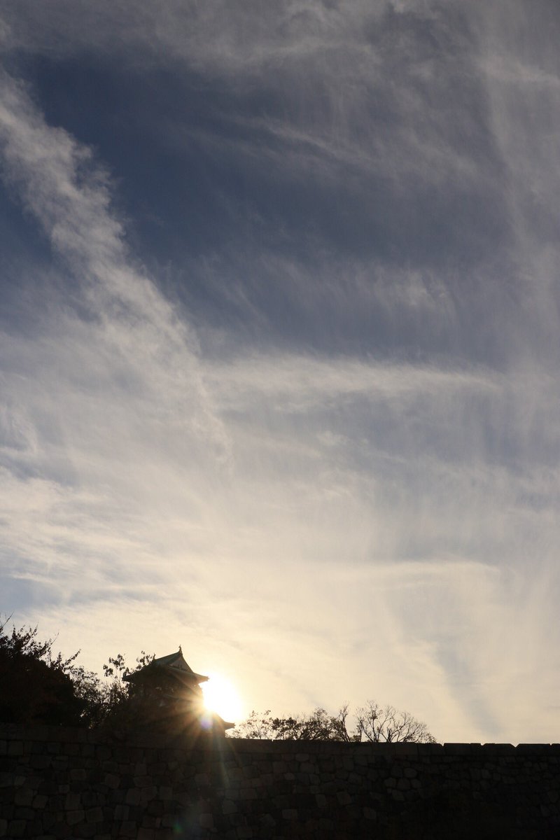 Pura 大阪城をバックにした携帯用壁紙です